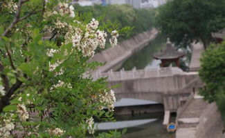 护城河两岸 (虽然人多但方便!)