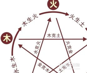 五行生克：别让你家娃被克掉！