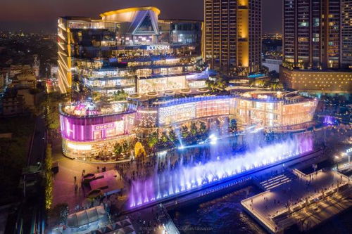 1) 市场环境特色概览