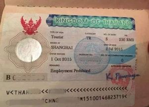 哎呀妈呀，心心念念的泰国游，第一步竟然卡在签证上了？