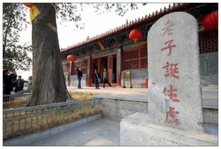亳州：历史持续发展与现代化碰撞的魅力