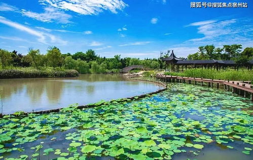 西塘：白天像地狱，晚上像鬼片