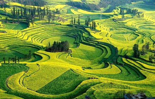 吃住行避坑指南：本地人不会全说的“潜规则”，  堪完少花冤枉钱