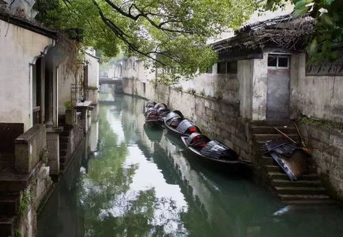 鲁迅笔下那些永恒的记忆