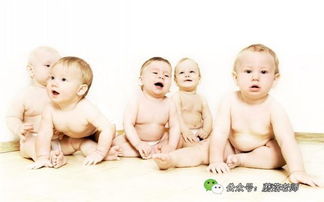 文化底蕴与巨婴现象的关系