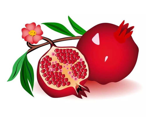 石榴木的生肖是什么？石榴木的数字代表什么含义？