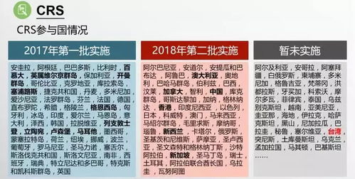 前言：四字名字的奇妙世界