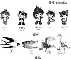 先来看， 我们来了解一下宝宝的生辰八字