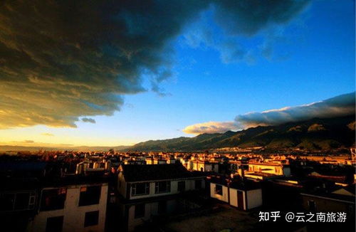 真实案例：我在丽江被当猪宰