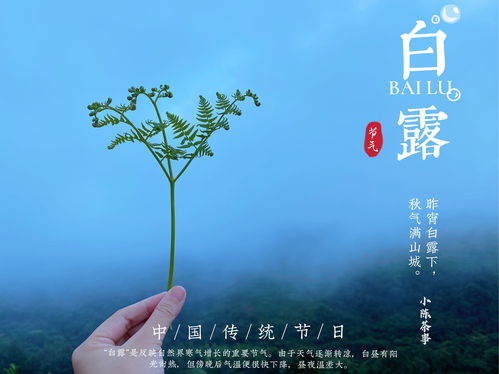 白露习俗，传统韵味，爆款节日必kan
