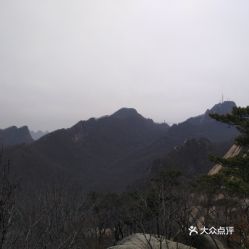 瓦房店岭下大学生算命在哪个具体位置？