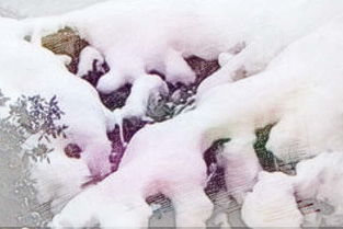 梦见在厚厚的雪里行走，这预示着什么？