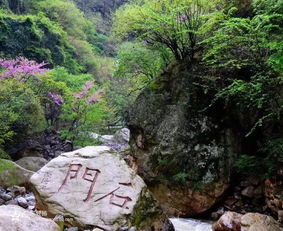 徒步古蜀道：累死累活！（但景色确实不错）