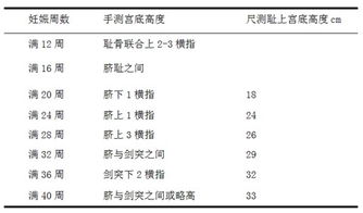 2. 性格匹配度测试表