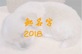 男孩篇：把较小王子养成较大帝王