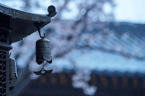 午夜钟声与子时鼠的惊魂