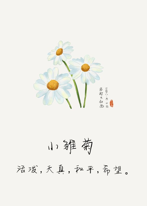 其他选择（小贴士）