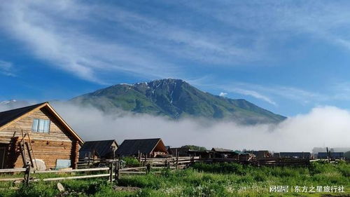吐血推荐这家旅行社