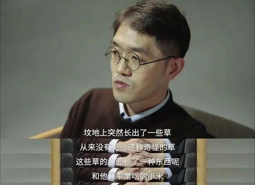 #噪音狂潮#——到底发生了什么？