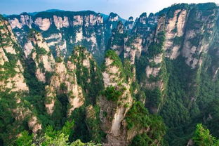 第一天：乱入天门山， 先把自己搞晕