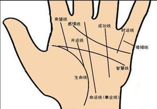 看手相时男左女右的说法正确吗？