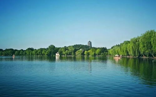 噪音与回声交织