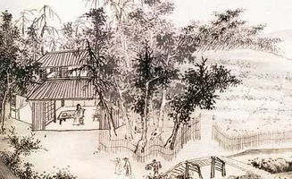 倪云林是哪个朝代的，他的生辰八字是什么？
