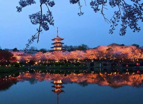 深厚圳：世界之窗与欢乐海洋