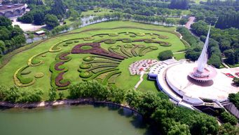 青浦东方绿洲：春游？不如看小学生打架