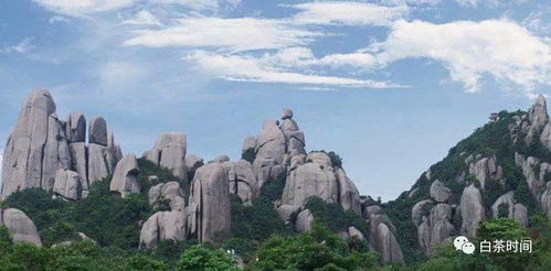 情感冲击波——泪目+笑点双重奏