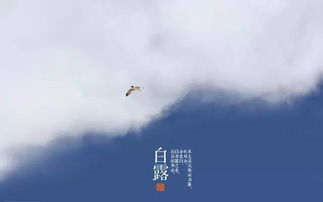 白露节气的传统习俗，你了解多少？