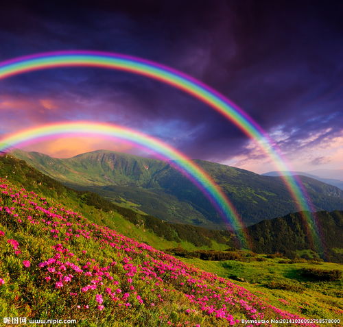 巨蟹座：情绪的波动