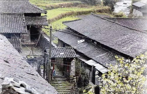 四点美食警示（随意拼接）