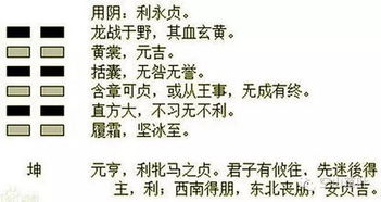 我的本命卦：坤卦的悲歌