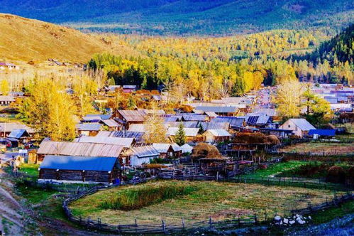 夏季(6月-8月)：避暑胜地还是蚊虫叮咬？