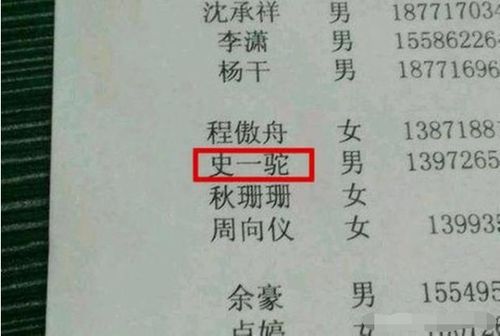 五、实用技巧与注意事项