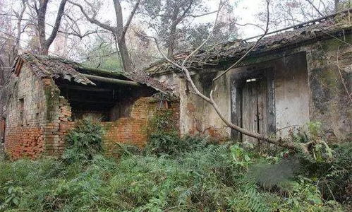 农村土灶风水禁忌,土瓦房的风水禁忌