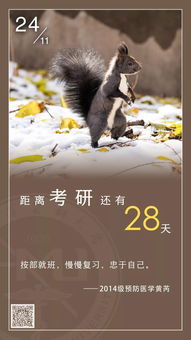 国学智慧的终极启示