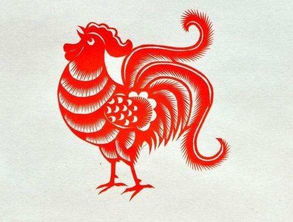 属鸡明年财运如何？适合送属鸡的礼物有哪些推荐？