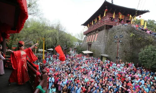 震惊！80块门票背后的惊天骗局！2026年去宋城千万别犯这些错！
