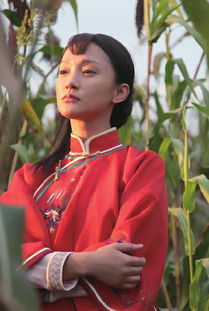 周迅八字命理如何，红高粱1-60集免费观看地址在哪里？