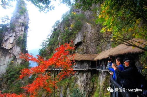 西线路径：险峻之路