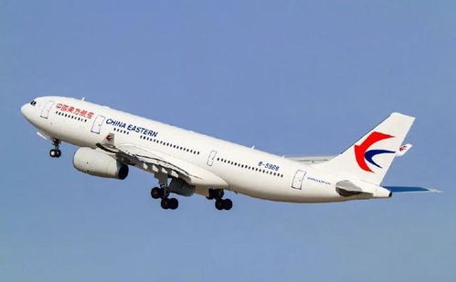 西安到米兰， 一场跨越千里的“捉迷藏”