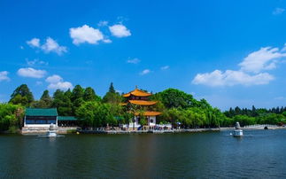 案例：抚仙湖的隐藏魅力