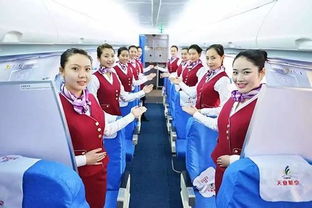 1.2 市场噪声——游客爱新奇， 航空公司爱赚钱