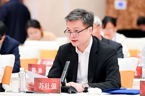 2.1 名字+行业/领域组合策略