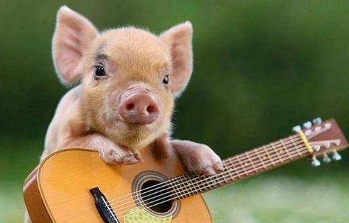 过日子就像演小品：一个捧哏一个逗哏