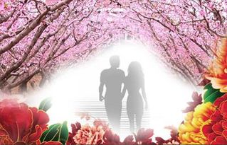 算命中反桃花和桃花旺盛分别指什么？