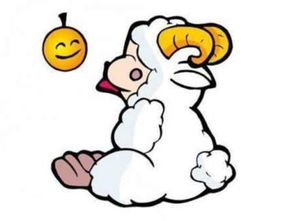 当温柔遇上机智：一场命中注定的相遇