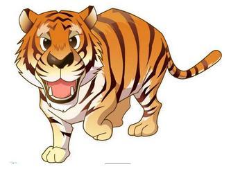 2026年属虎人运势和运程具体是怎样的？